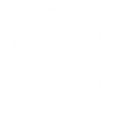 Fibra Ótica