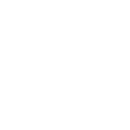 Fibra Ótica